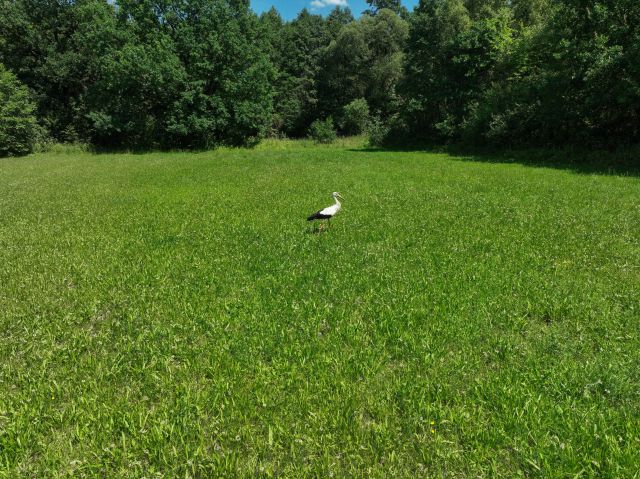 Działka rolna Żuków. Zdjęcie 4