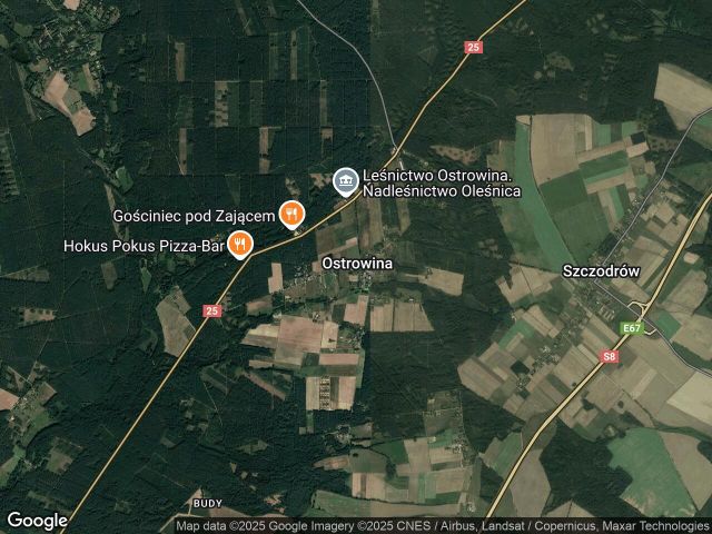 Działka budowlana Ostrowina. Zdjęcie 1