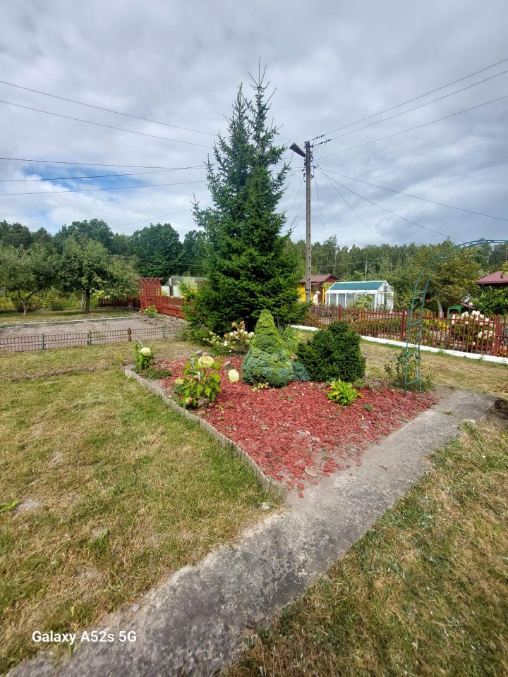 Działka rod Starachowice Skałka, ul. Leśna. Zdjęcie 12