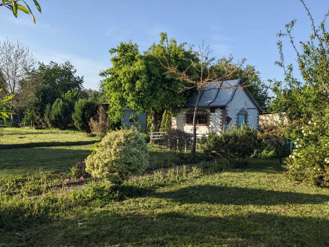 Działka rod Świdnica, ul. Pogodna. Zdjęcie 5