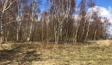 Działka budowlana Jazy