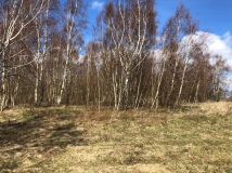 Działka budowlana Jazy. Zdjęcie 1