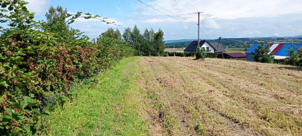 Działka budowlana Tymowa Nagórze. Zdjęcie 2