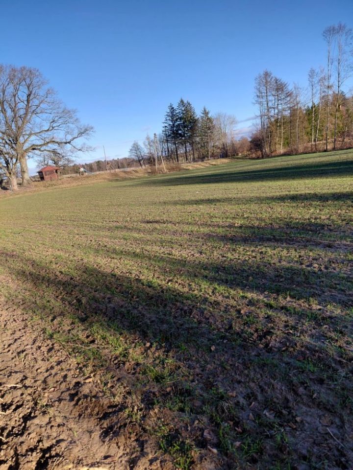 Działka budowlana Szydlice. Zdjęcie 5