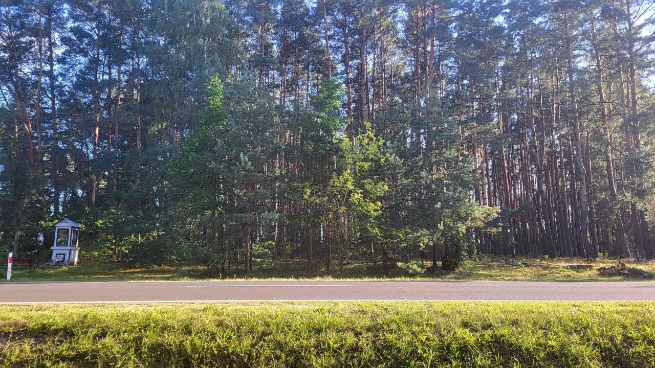 Działka Michałów. Zdjęcie 7