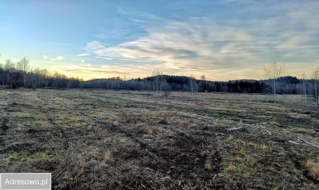 Działka budowlana Łomnica. Zdjęcie 1