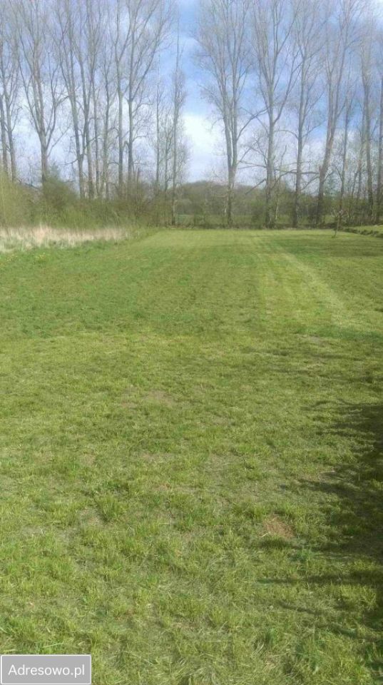 Działka budowlana Kiszkowo. Zdjęcie 5