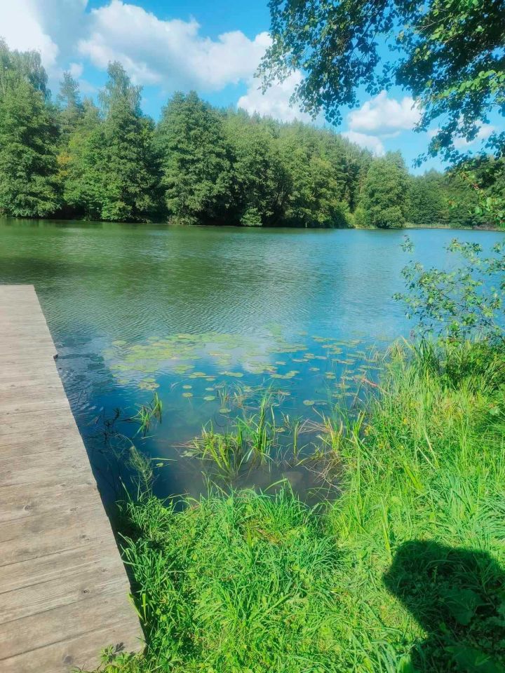 Działka rolno-budowlana Sidory. Zdjęcie 6