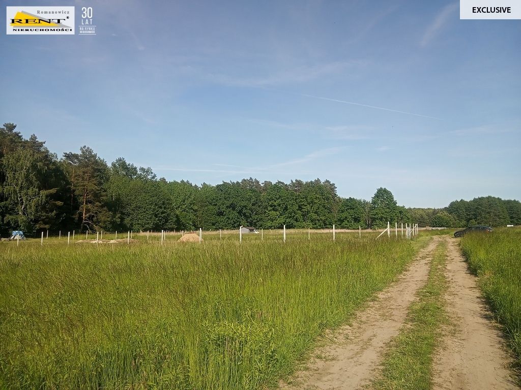 Działka inwestycyjna Chociwel. Zdjęcie 3