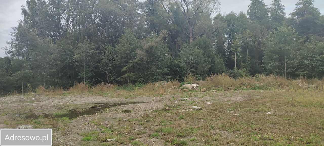 Działka rolna Gołkowice, ul. Podlaska. Zdjęcie 3