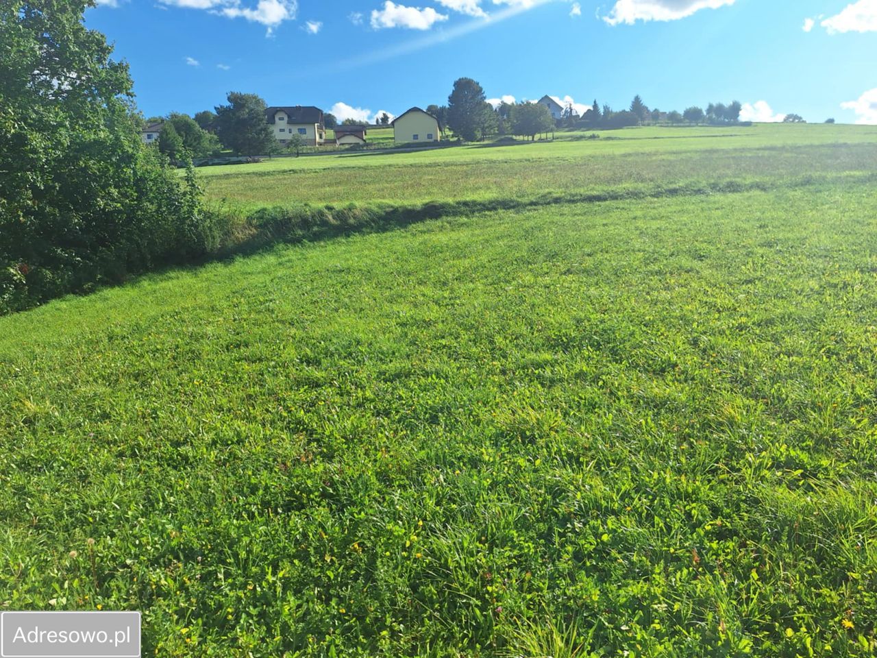Działka budowlana Korzenna. Zdjęcie 4