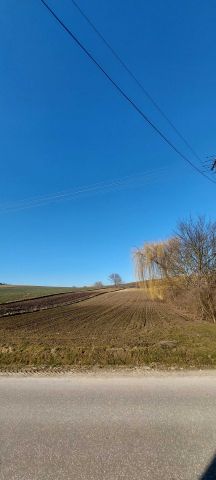 Działka rolno-budowlana Szczytniki-Kolonia. Zdjęcie 1