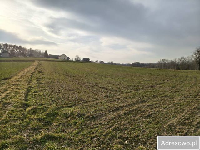 Działka rolna Sławkowice. Zdjęcie 1