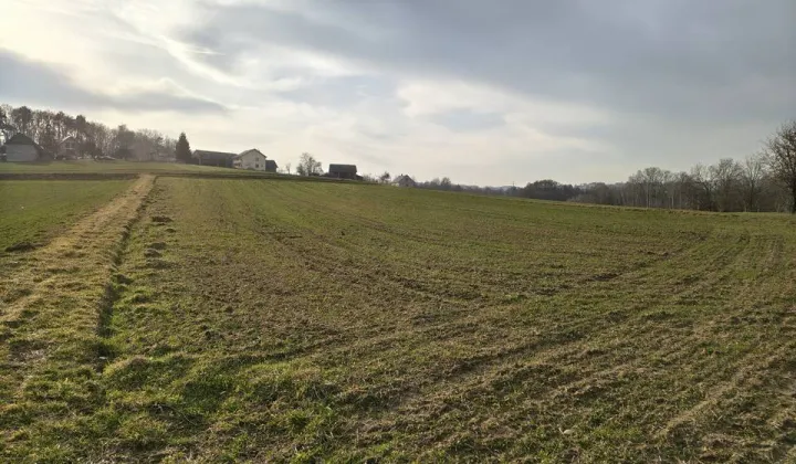 Działka rolna Sławkowice