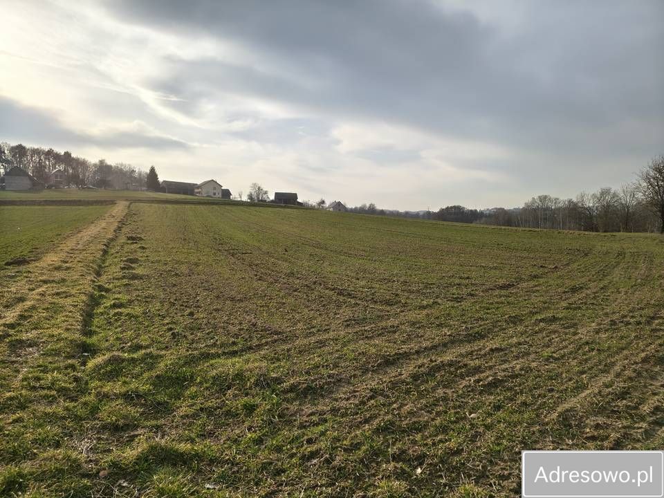 Działka rolna Sławkowice. Zdjęcie 1