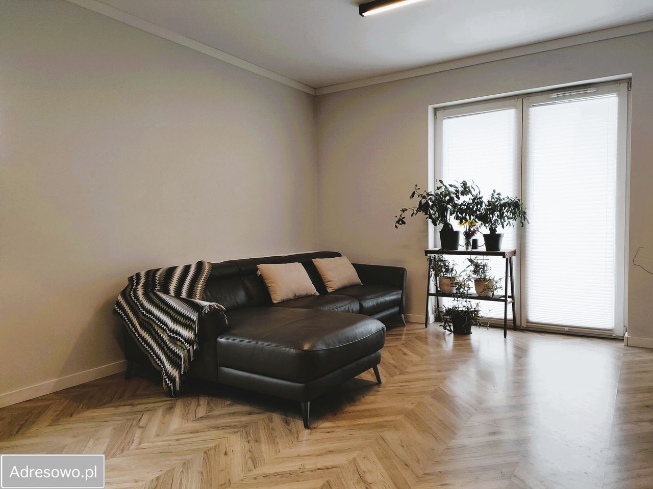 Mieszkanie 3-pokojowe Zabrze. Zdjęcie 1