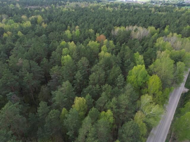 Działka Barszczewo. Zdjęcie 6