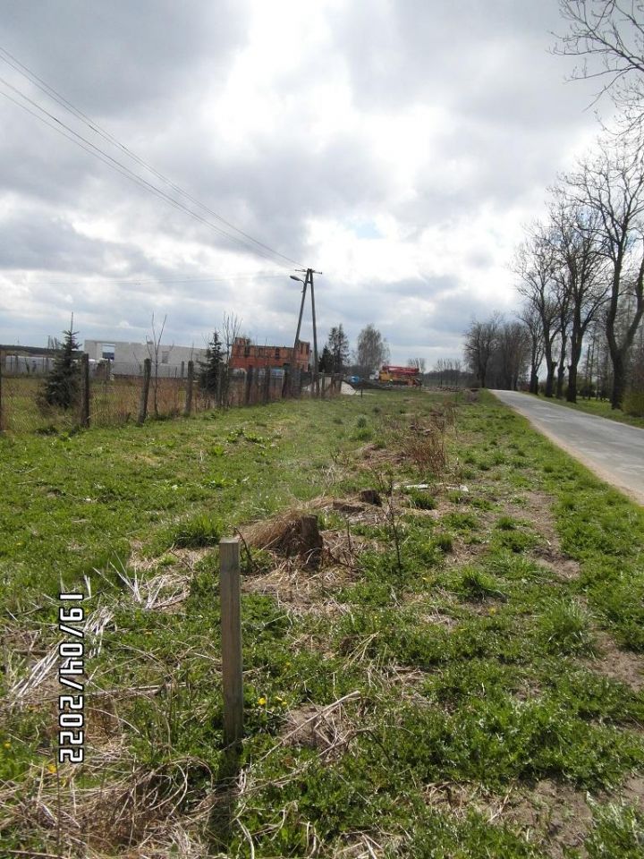 Działka rolno-budowlana Niedrzew Drugi. Zdjęcie 6