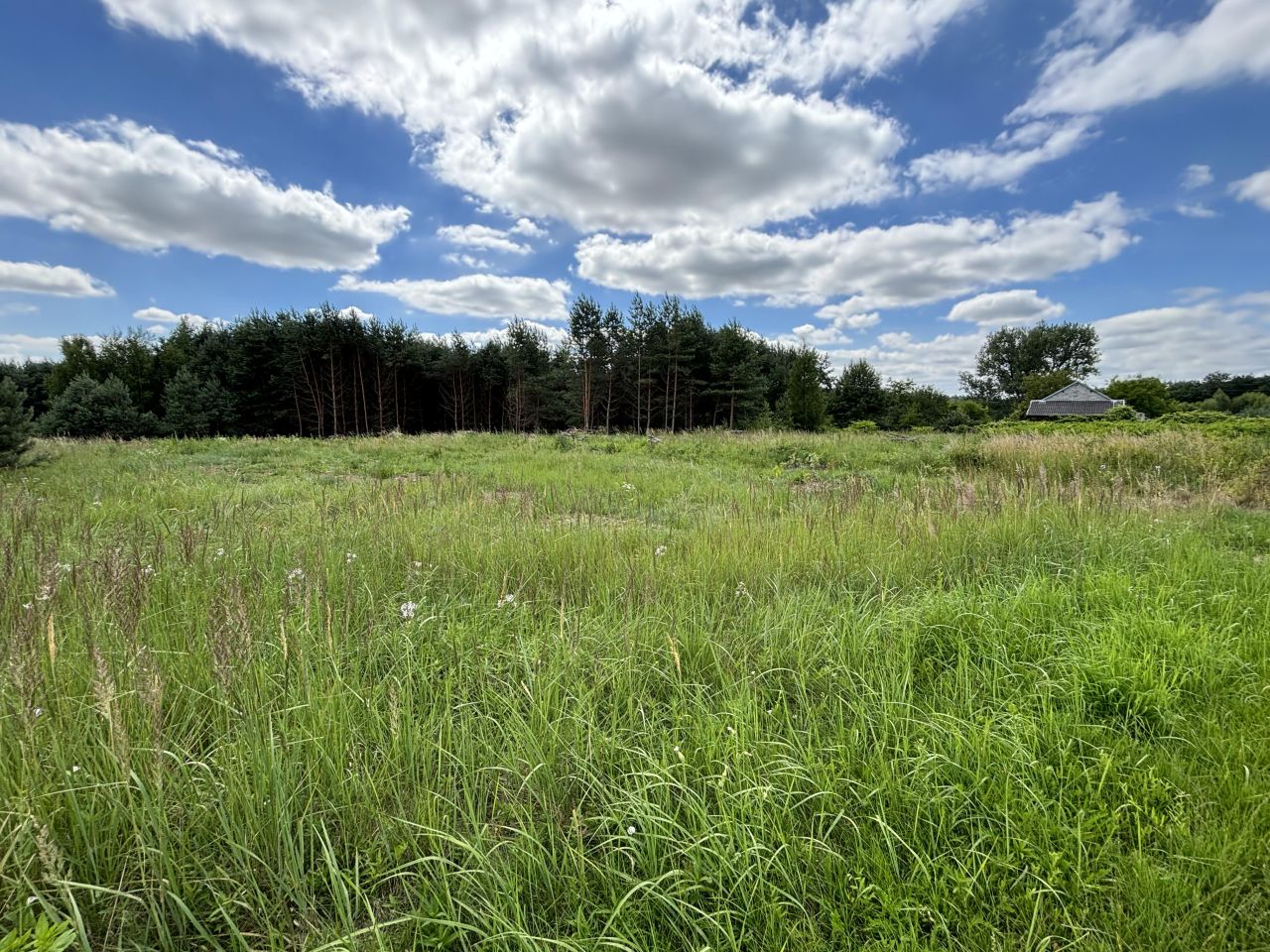 Działka budowlana Kameduły. Zdjęcie 4