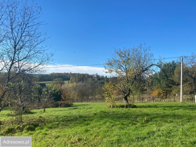 Działka budowlana Borówna. Zdjęcie 1