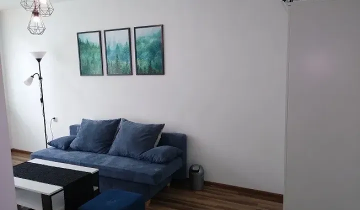 Mieszkanie 1-pokojowe Bytom Szombierki, ul. Godulska