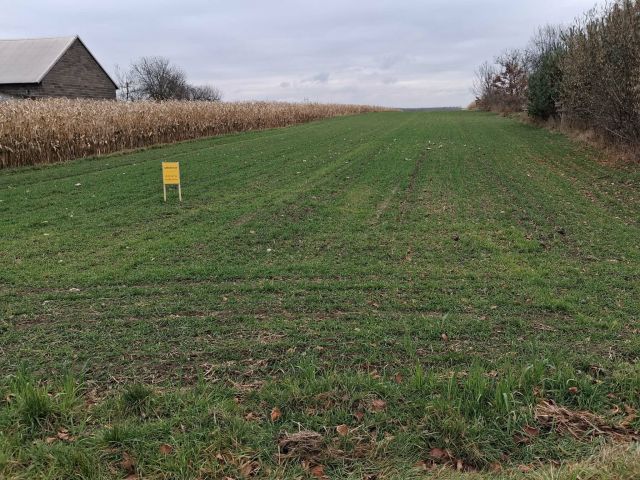 Działka rolno-budowlana Kuśmierki. Zdjęcie 1