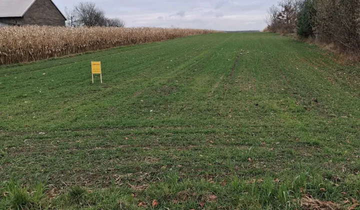 Działka rolno-budowlana Kuśmierki