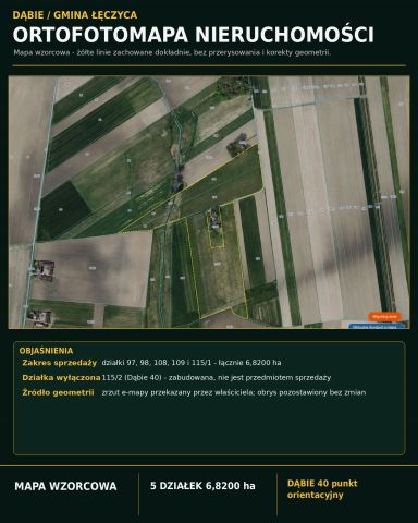 Działka rolna Dąbie. Zdjęcie 12