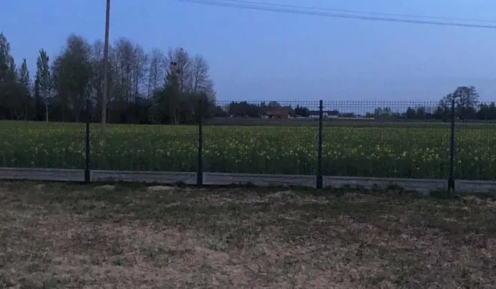 Działka budowlana Bieniewo-Parcela