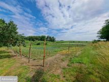 Działka inwestycyjna Lubiechów Górny. Zdjęcie 2