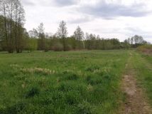 Działka rolna Jastrzębsko Stare. Zdjęcie 1