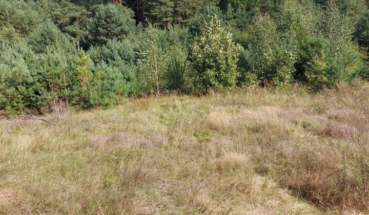 Działka siedliskowa Chraboły