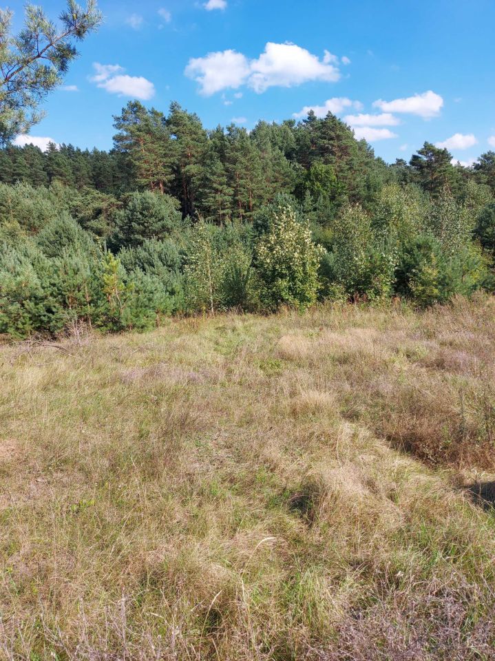 Działka siedliskowa Chraboły