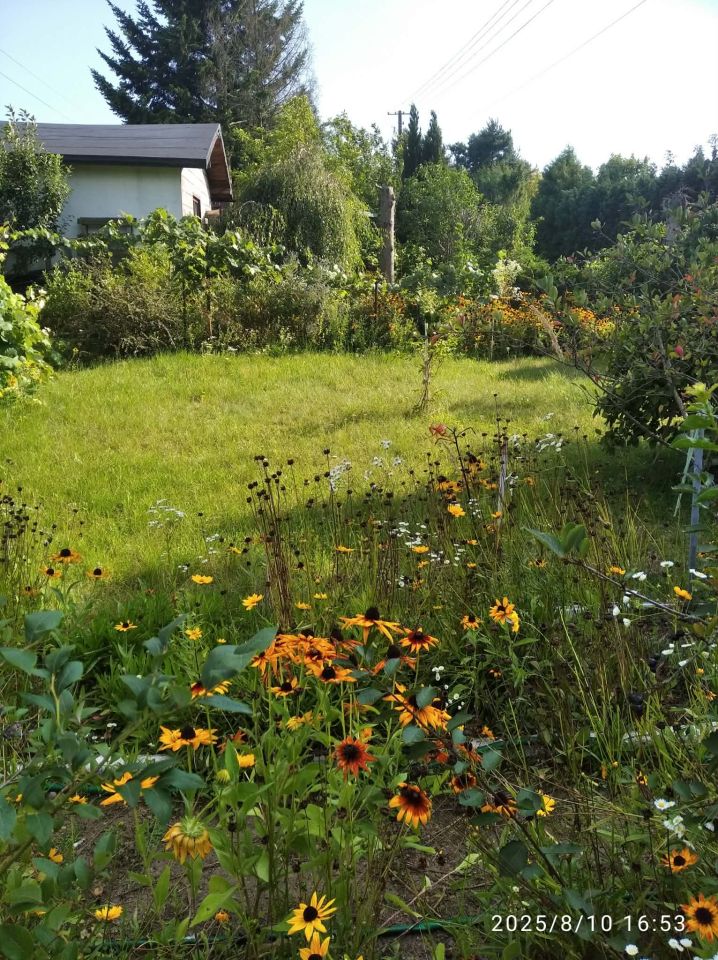 Działka rod Konstantynów Łódzki Żabiczki, ul. Krzywa. Zdjęcie 3