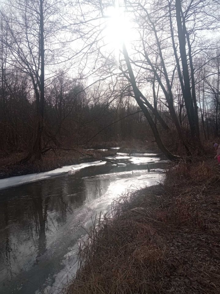 Działka rekreacyjna Kornie. Zdjęcie 7