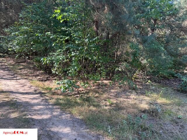 Działka budowlana Siestrzeń. Zdjęcie 2