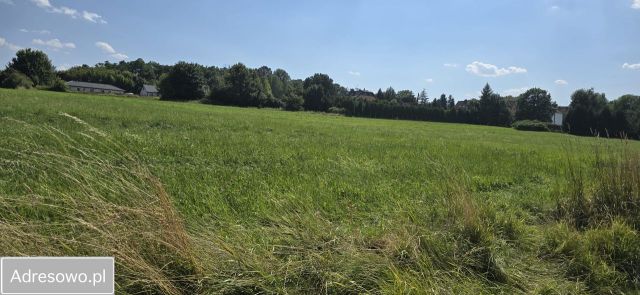 Działka budowlana Bytom Miechowice, ul. Karbowska. Zdjęcie 1