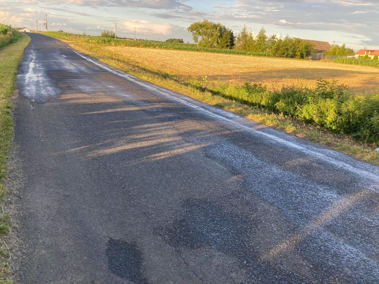 Działka rekreacyjna Kowalki. Zdjęcie 5