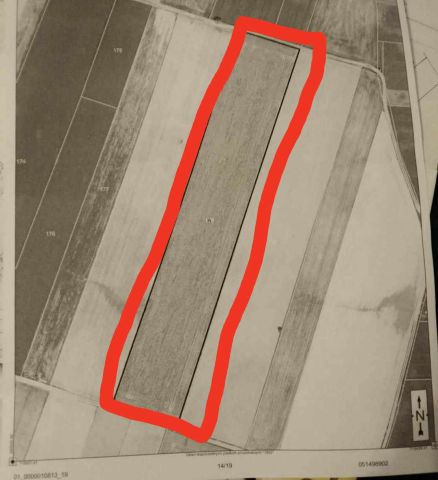 Działka rolna Truszki. Zdjęcie 1