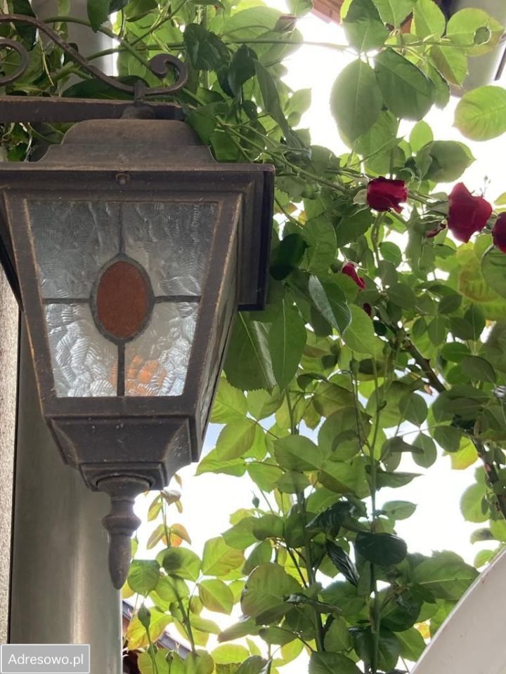 dom wolnostojący, 6 pokoi Opole Stare Miasto. Zdjęcie 6