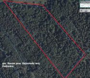 Działka leśna Narew