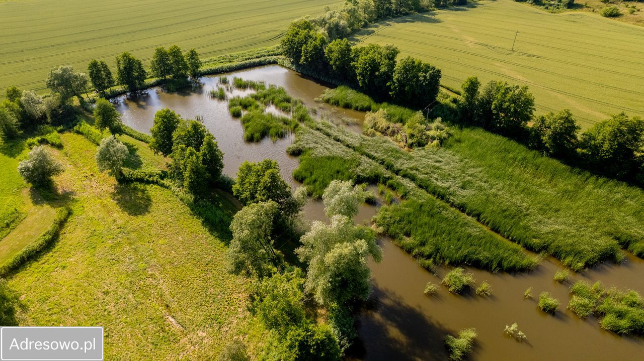 Działka rekreacyjna Czernichów. Zdjęcie 5