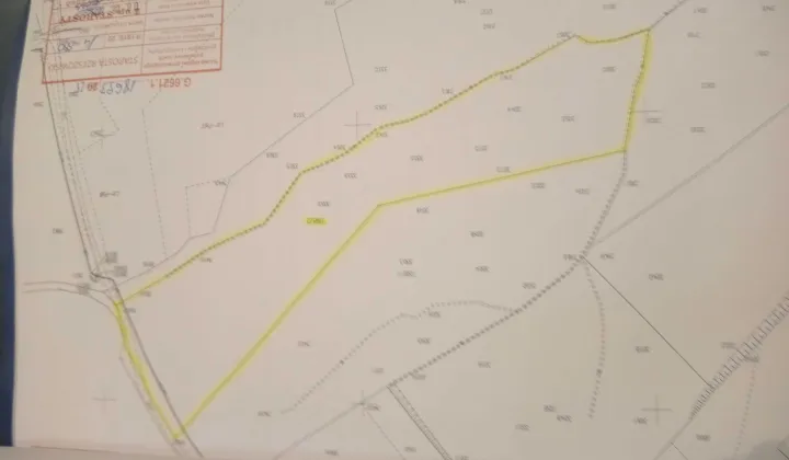 Działka leśna Lubenia