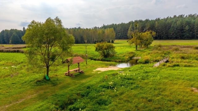 Działka rolna Kołodno. Zdjęcie 1