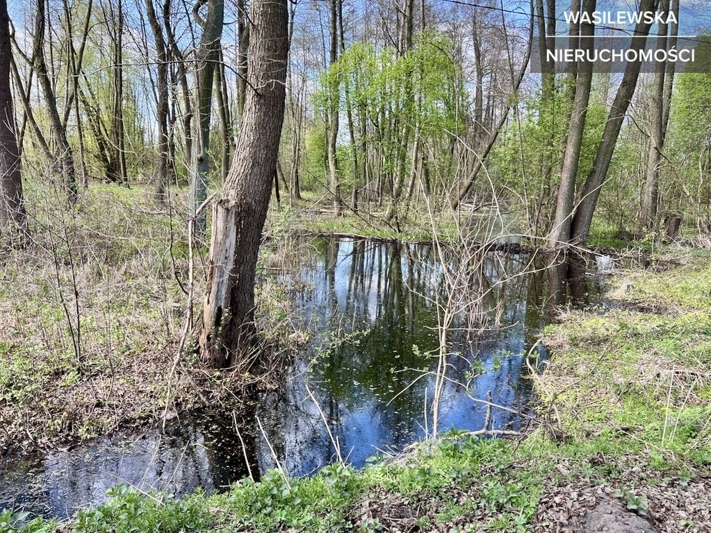 Działka budowlana Wręcza. Zdjęcie 4