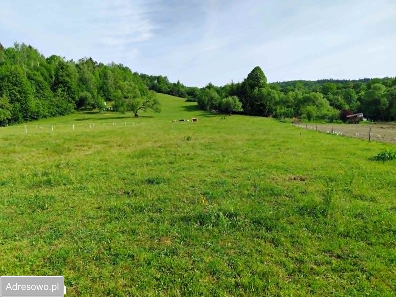 Działka budowlana Krempna. Zdjęcie 4