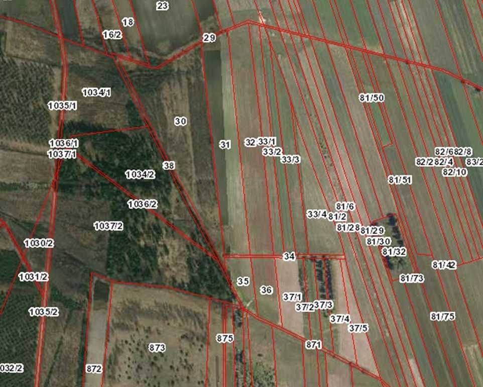 Działka rolna Ławki. Zdjęcie 4