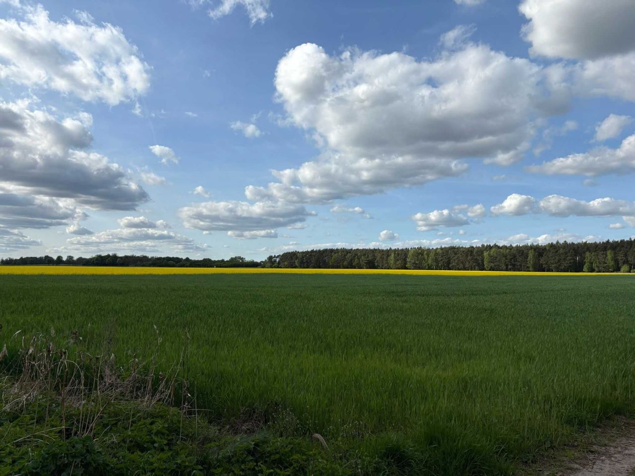 Działka budowlana Jabłkowo. Zdjęcie 4