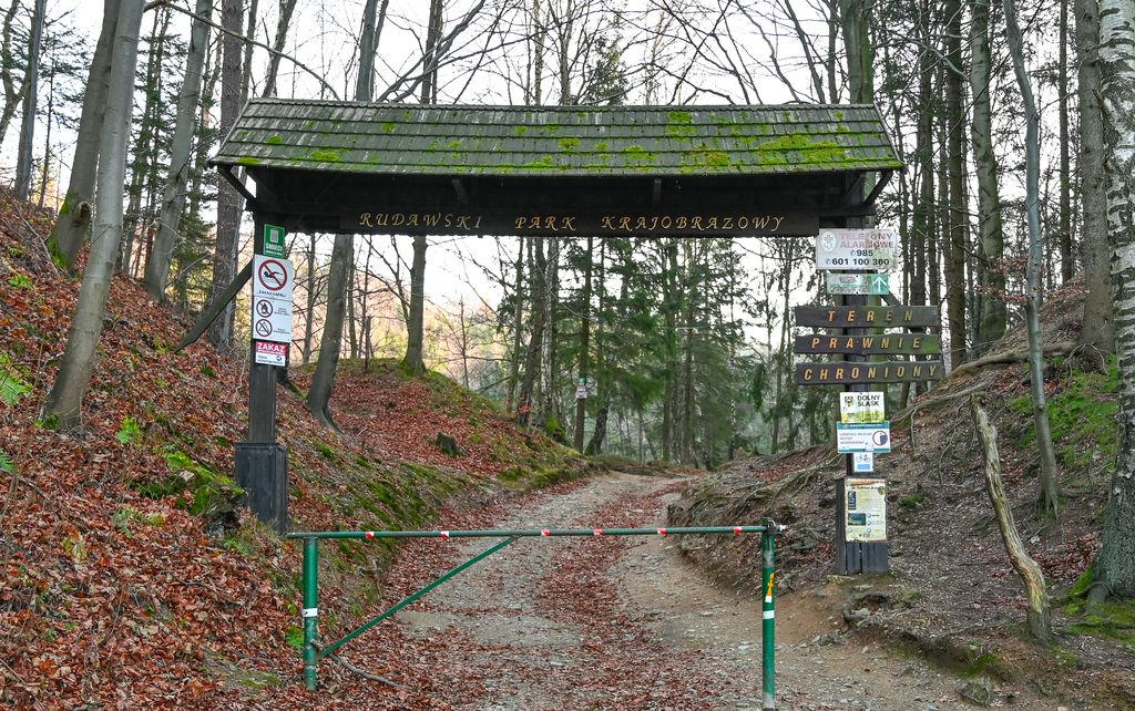 Działka inwestycyjna Wieściszowice. Zdjęcie 4
