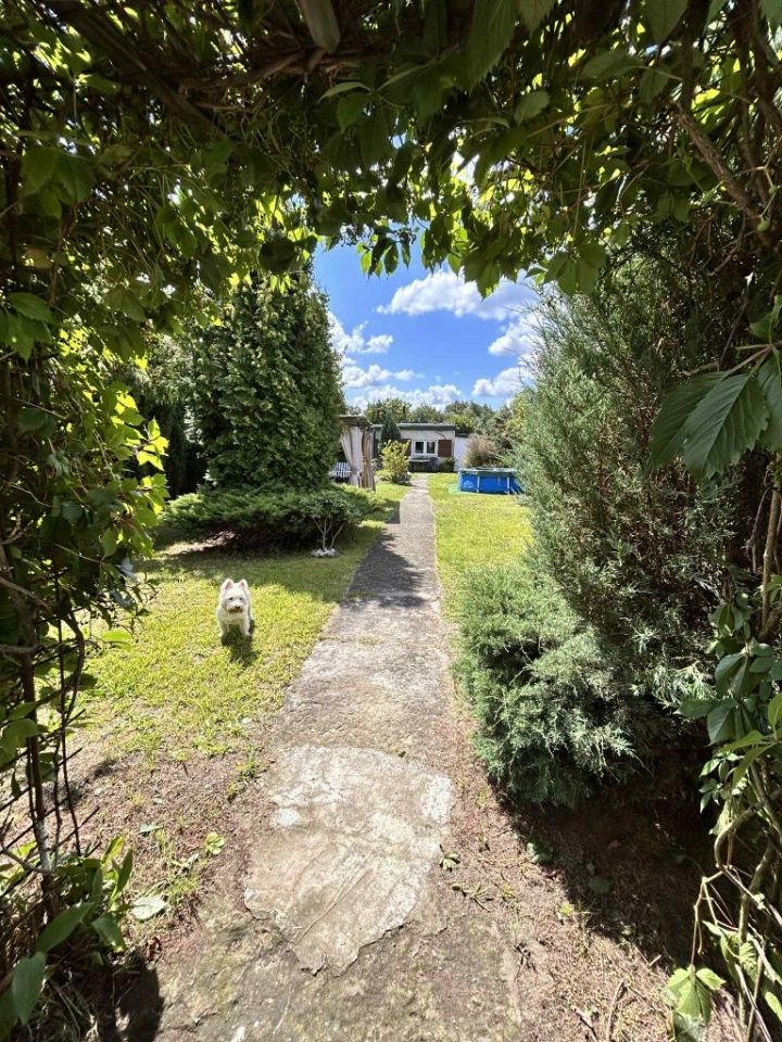 Działka rod Zabrze Pawłów. Zdjęcie 2